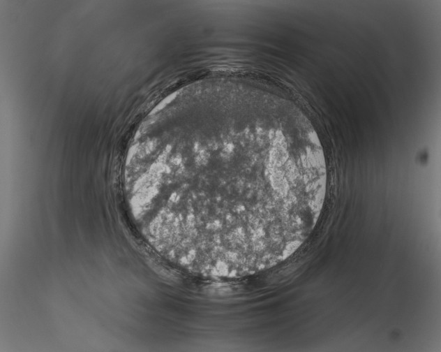 X0000115180277200912091054