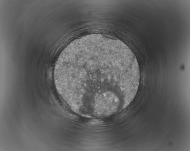 X0000115180278200912091054