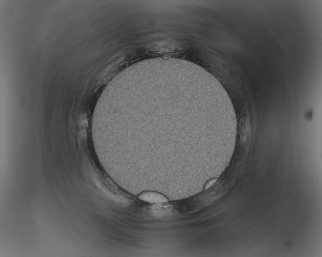 X0000115180279200912091054