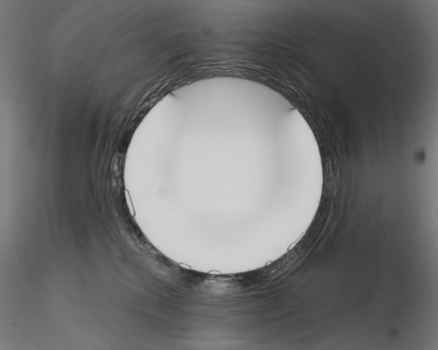 X0000115180280200912091054