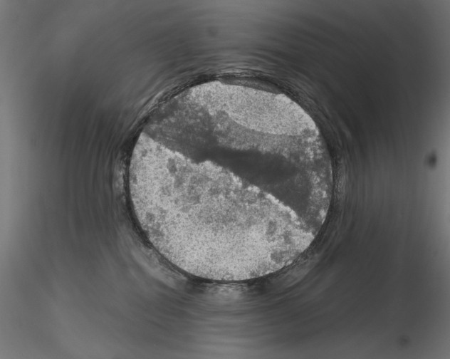 X0000115180282200912091054