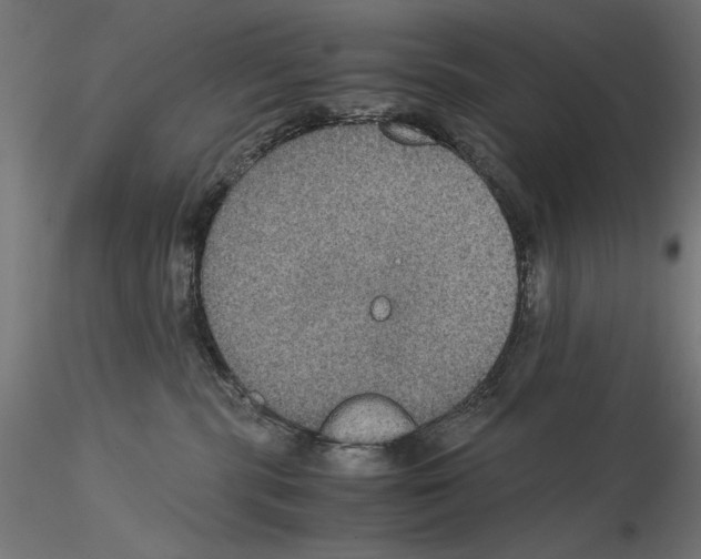 X0000115180283200912091054