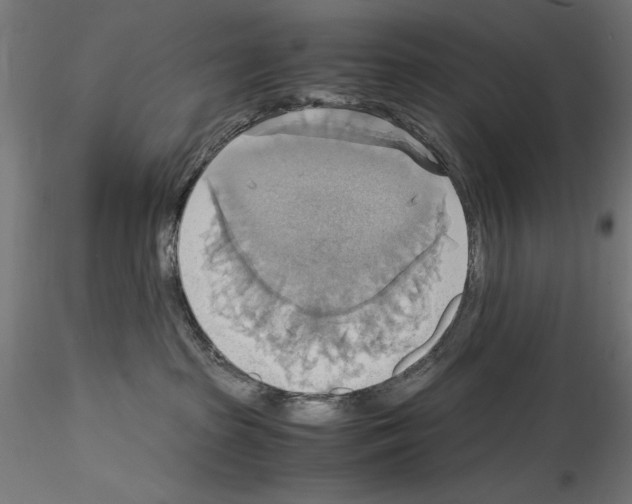 X0000115180285200912091054