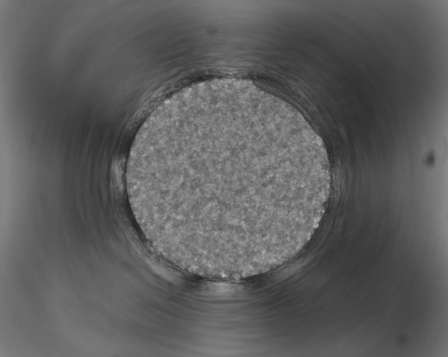 X0000115180286200912091054