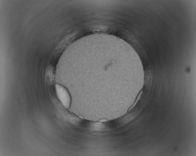 X0000115180287200912091054