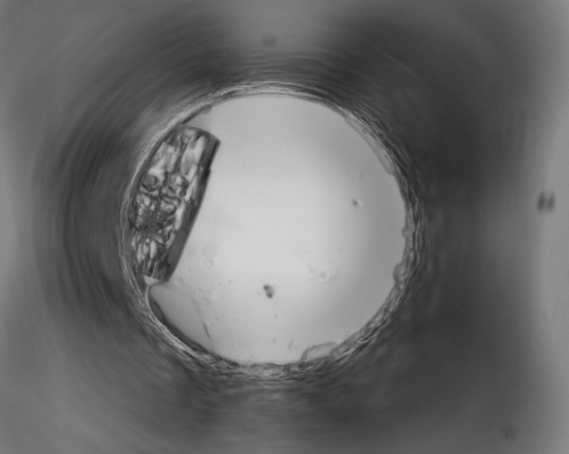 X0000115180289200912091054