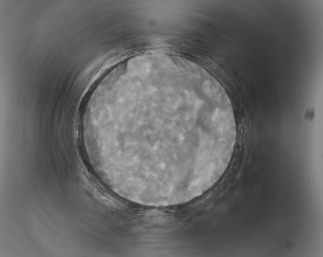 X0000115180290200912091054