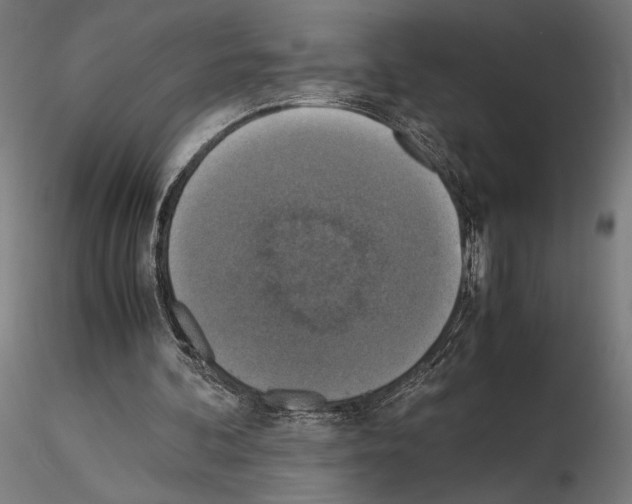 X0000115180292200912091053