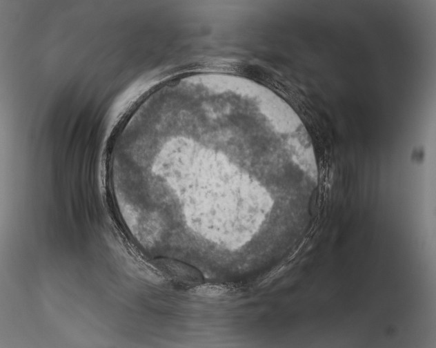 X0000115180294200912091053