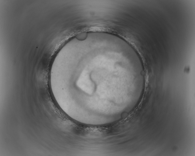 X0000115180297200912091053