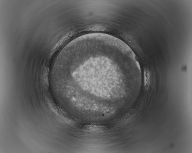 X0000115180300200912091053