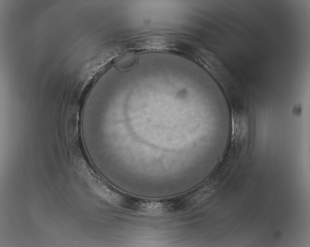 X0000115180301200912091053