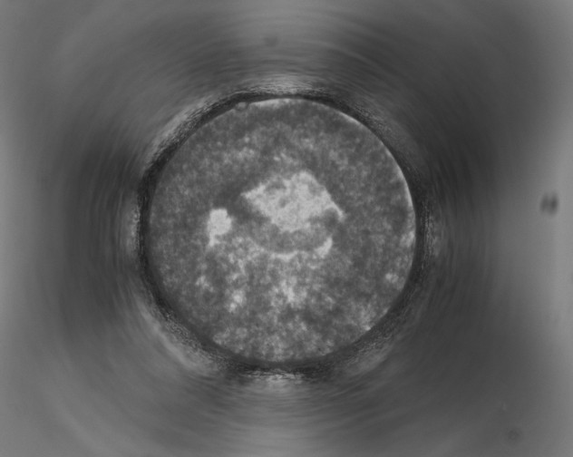 X0000115180304200912091053