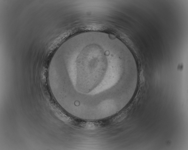 X0000115180305200912091053