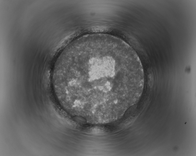 X0000115180308200912091053