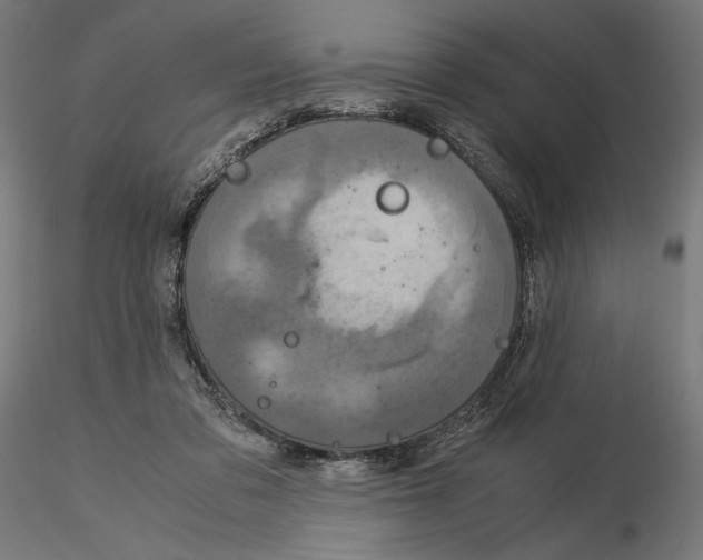 X0000115180309200912091053