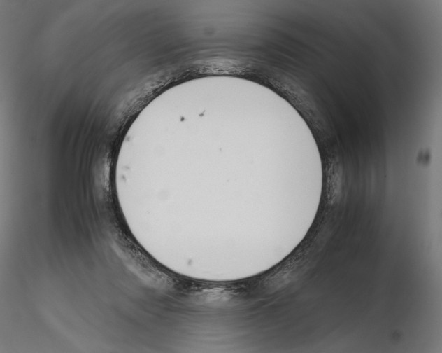 X0000115180310200912091053