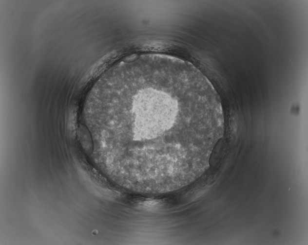 X0000115180312200912091053