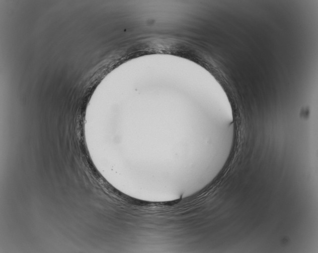 X0000115180313200912091053