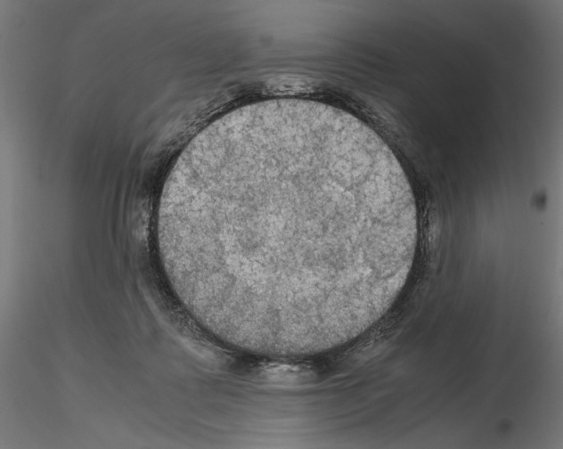 X0000115180315200912091053