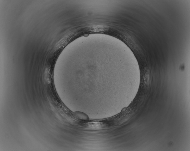 X0000115180316200912091053