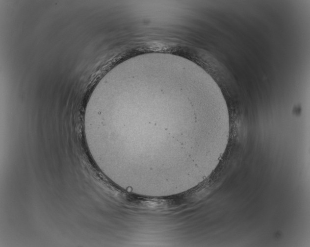 X0000115180317200912091053