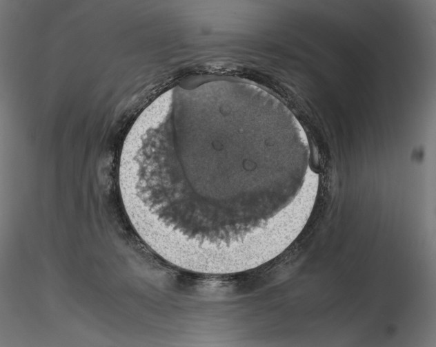 X0000115180319200912091053