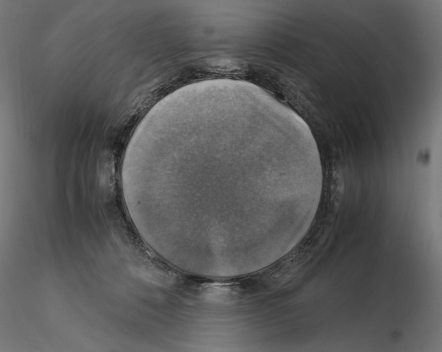 X0000115180320200912091053