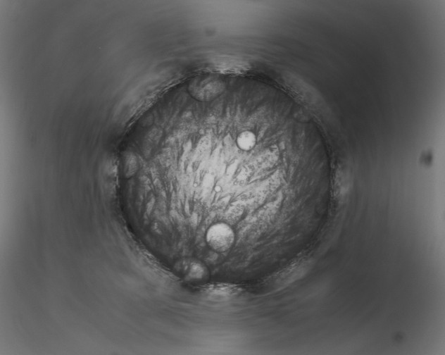 X0000115180321200912091053