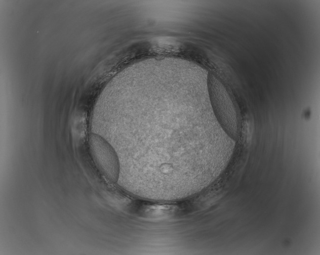 X0000115180323200912091053