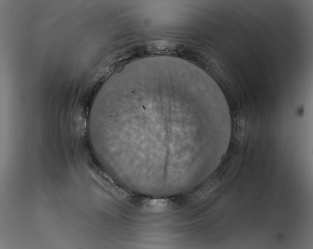 X0000115180324200912091053