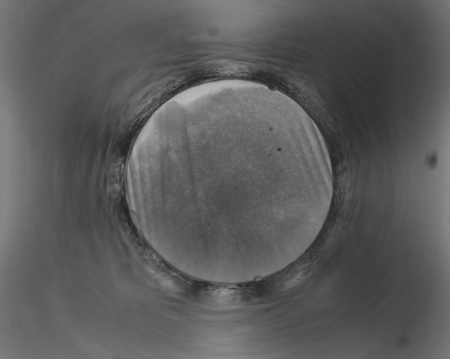 X0000115180325200912091053