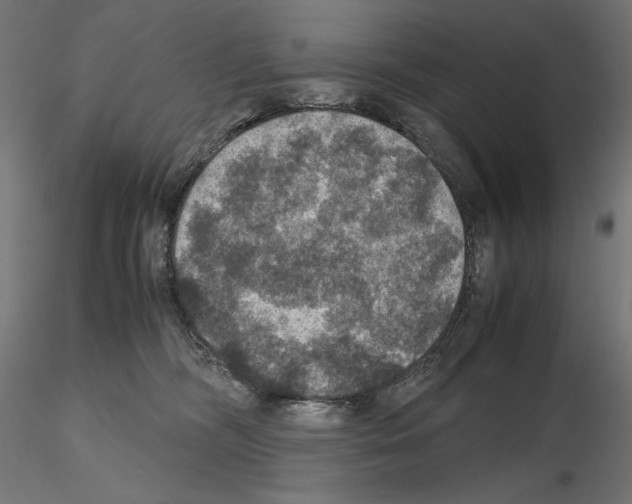 X0000115180326200912091053