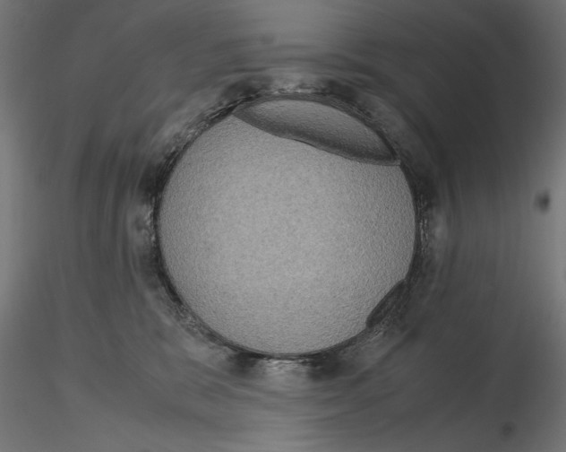 X0000115180327200912091053