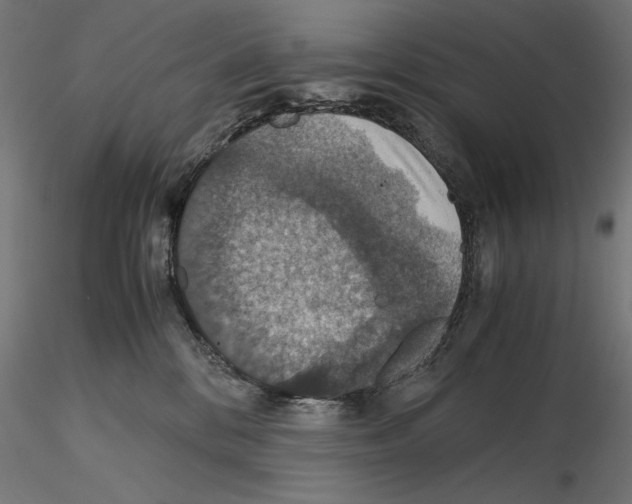 X0000115180328200912091053