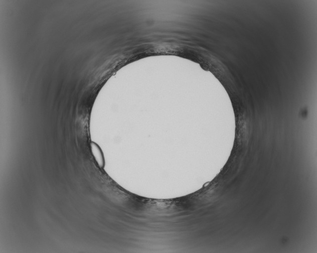 X0000115180329200912091053