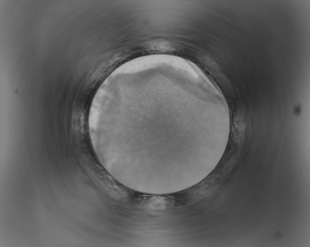 X0000115180330200912091053