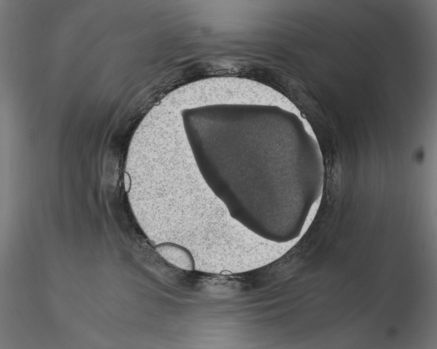 X0000115180331200912091053