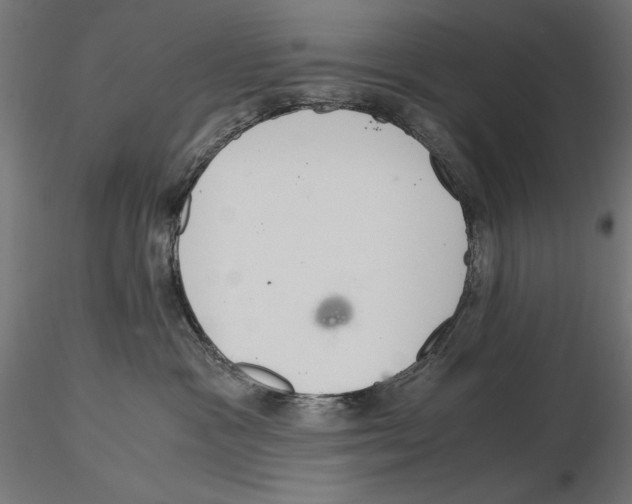 X0000115180333200912091053