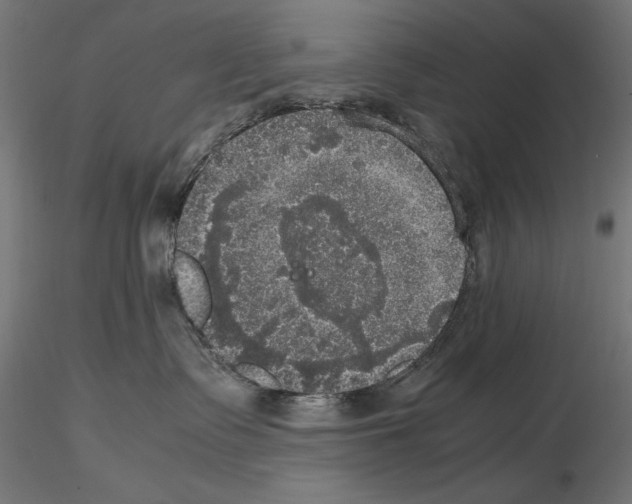 X0000115180335200912091053