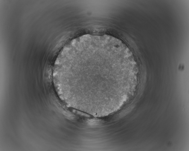 X0000115180336200912091053