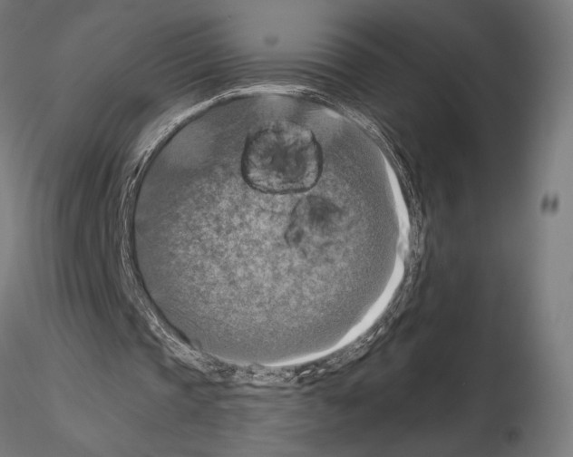 X0000115180337200912091052