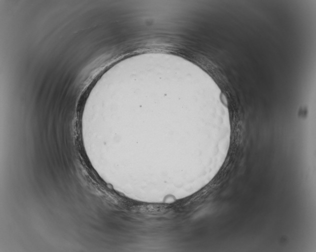 X0000115180338200912091052