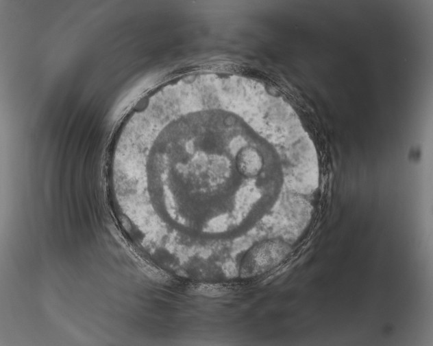 X0000115180341200912091052