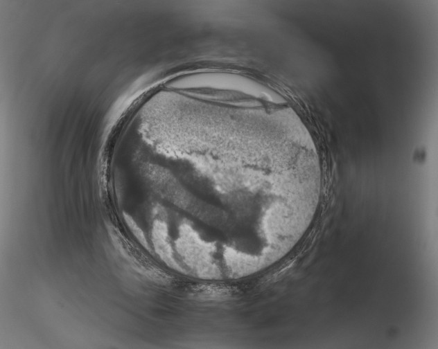 X0000115180343200912091052