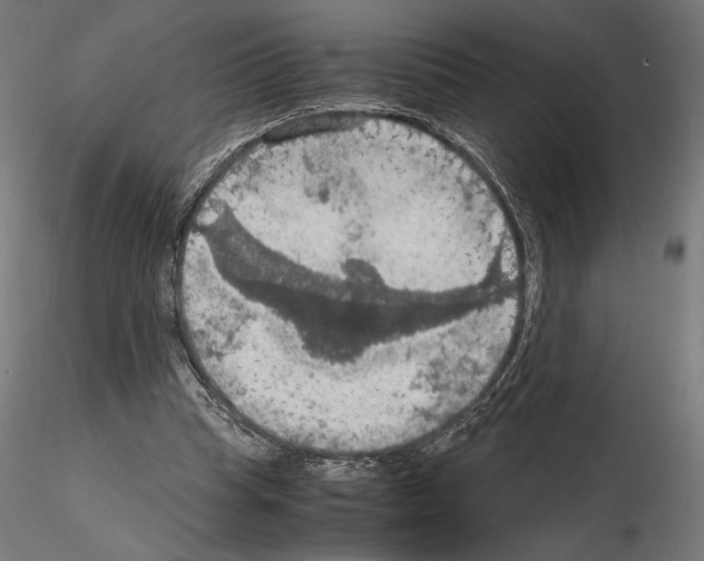 X0000115180345200912091052