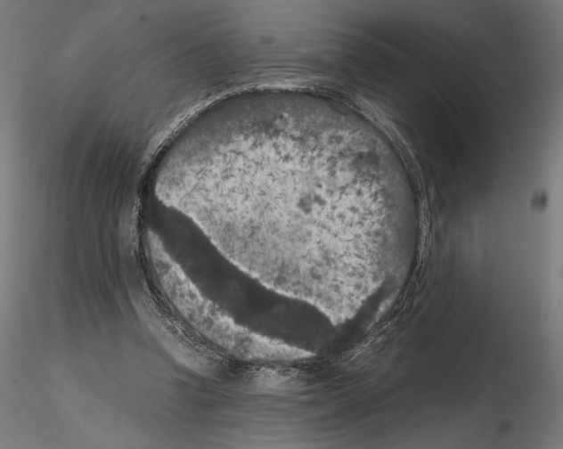 X0000115180346200912091052