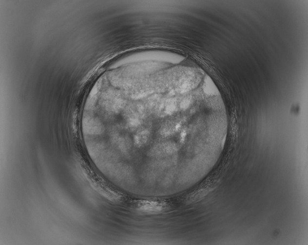 X0000115180347200912091052