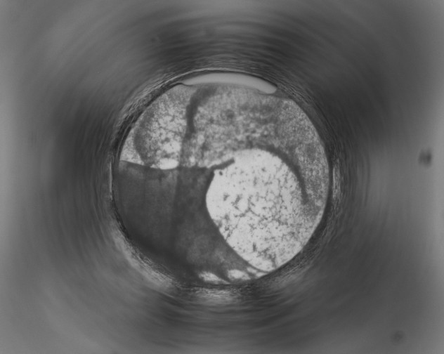 X0000115180349200912091052