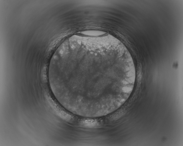 X0000115180353200912091052